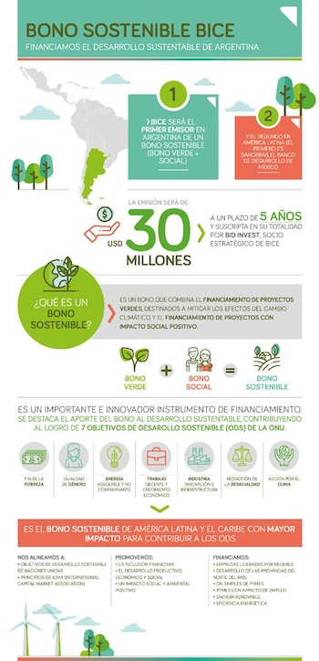 El instructivo del BICE para