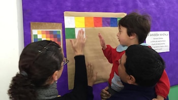 El Jardín N° 920 de