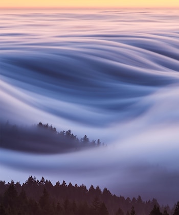 La bruma en el Monte Tamalpais, California (Fotos: National Geographic)