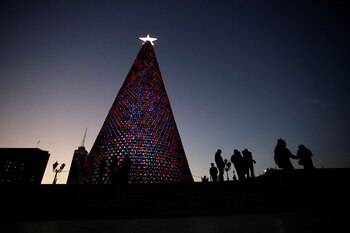 MONTERREY, MÉXICO. El árbol de