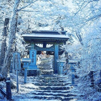 Es conocido por ser uno de los templos más grandes de Japón