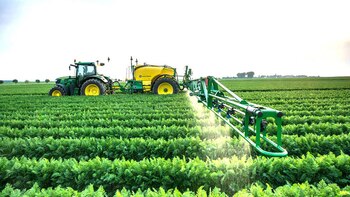 Una resolución establece pautas para