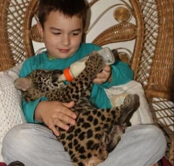 Tiago Silveira (Foto: Familia Silveira)