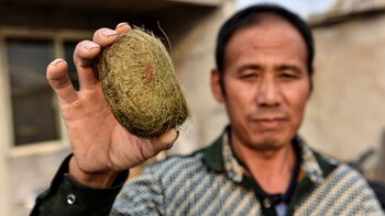 Imagen ML56J5QZCVEW7MGKDEOLPH4QYY