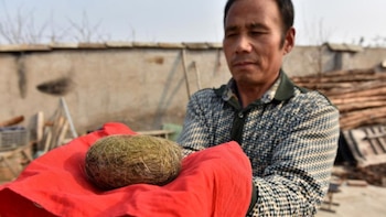 Imagen 3R5FNS4UW5G27BM6YOVOC5BFNQ