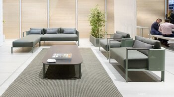 Así se presentó Solanas dentro