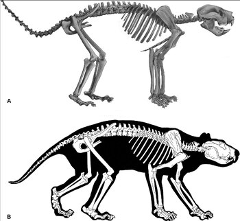 Imagen UV4I7IY75RH6JKPGMDSEJFE6MU