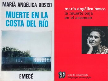 Títulos de María Angélica Bosco