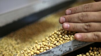 La expectativa oficial es que