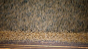 China detuvo la compra de