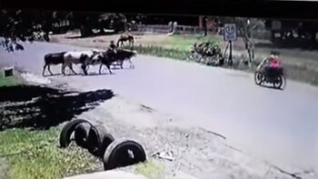 La mujer se dirigía al