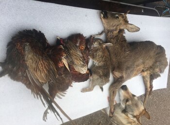 Jim Alexander, de 41 años,