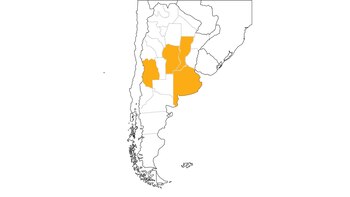 Buenos Aires, Córdoba, Mendoza y