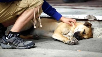 En mayo de este año