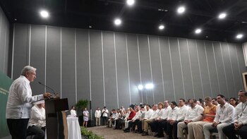 El proyecto le tomará alrededor