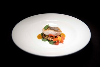 Para la presentación, disponer hojas