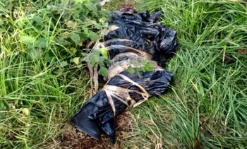 Cuerpo encontrado en Milpa Alta