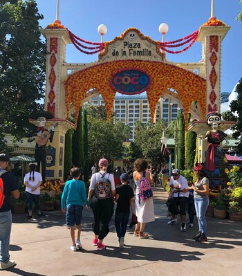 Aracely no suele exhibir los