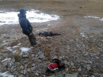 La Secretaría de Seguridad Pública