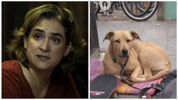 Ada Colau, alcaldesa de Barcelona,