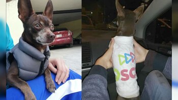 Budy salió de su casa