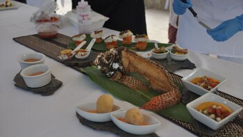 Se han diseñado distintas recetas