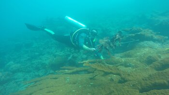 Dentro de las acciones establecidas