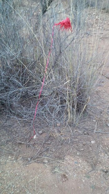 Un objeto de color rojo