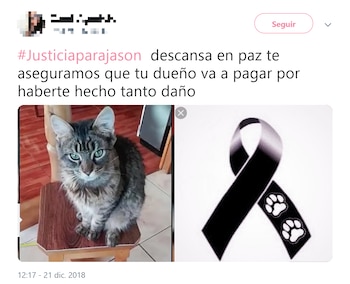 Tuiteros piden castigar al joven