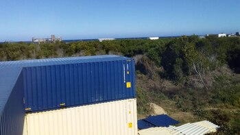 Naturaleza, verde, aire puro, árboles,