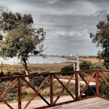 Vista a la Laguna de