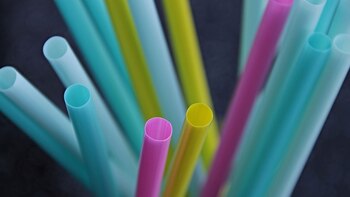 Los mexicanos acostumbran a tomar