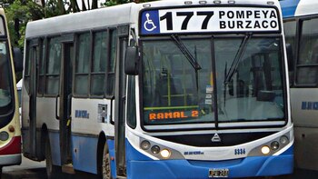 El chofer de la línea