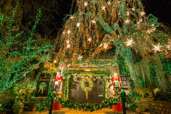 (Sai Mokhtari/Gothamist)