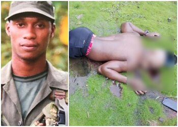 ‘Guacho’ fue dado de baja