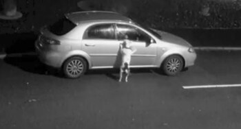 Los dueños no dejaron subir