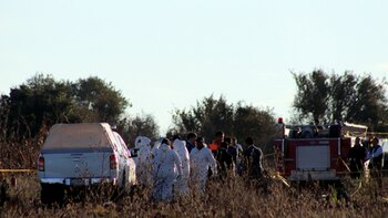 Peritos canadienses ayudarán en la