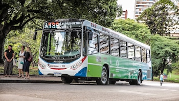 Comenzará a operar un bus