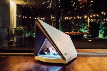 (Foto: Youtube Ford)