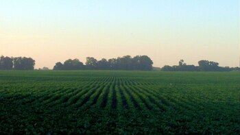 Durante 2018 se gestionaron negocios