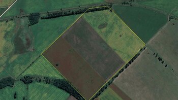 Según Christensen, es un buen