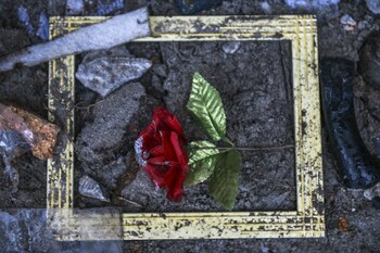 Una rosa artificial se ve