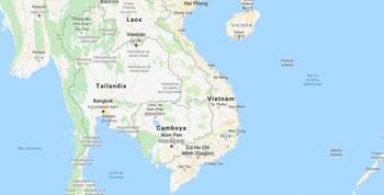 Los langures forman parte de