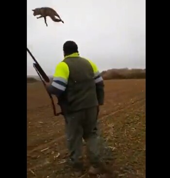 (Foto: Twitter @PACMA)