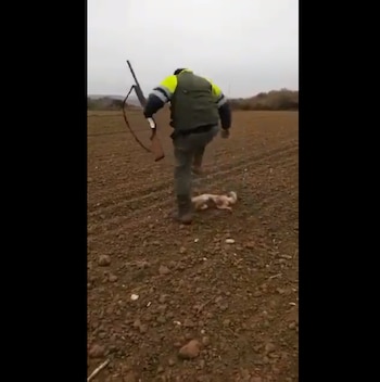 (Foto: @Twitter PACMA)