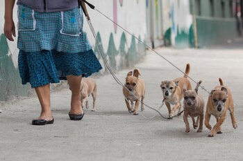 (Foto: Rodolfo Angulo / CUARTOSCURO.COM)
