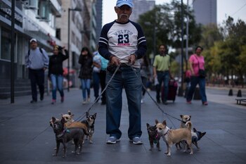 (FOTO: Adolfo Vladimir /CUARTOSCURO.COM)
