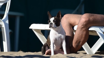 Imagen DOAFF42CUZABHHJ3556T5B3AQI