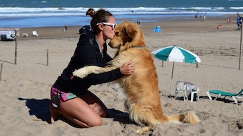 Imagen HOG257KOUBF25PU54OQLJFD2KQ