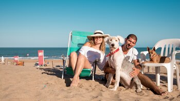 Imagen LOPNCBG6WRDONJ5IAD3USR4QFQ